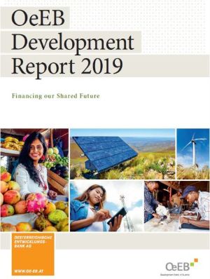 Development Report 2019